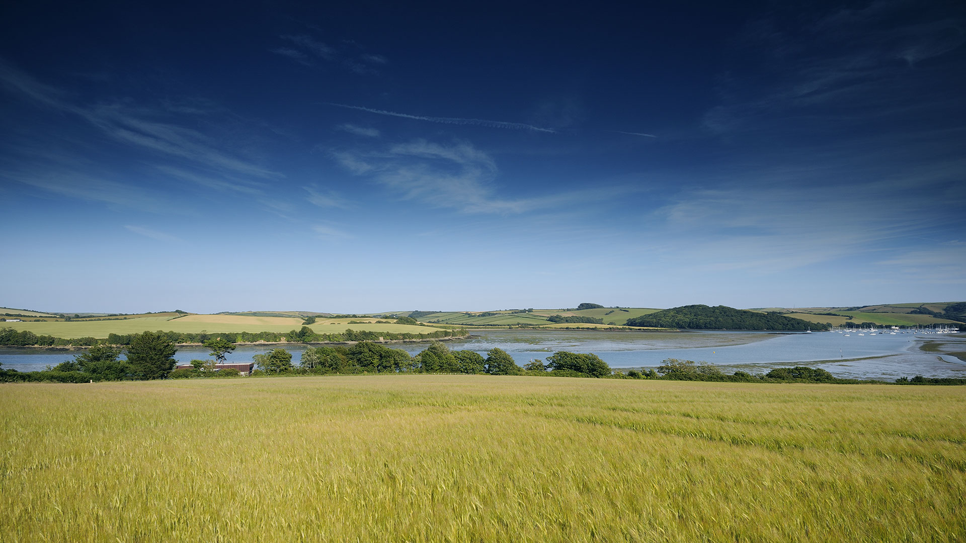New house, South Devon